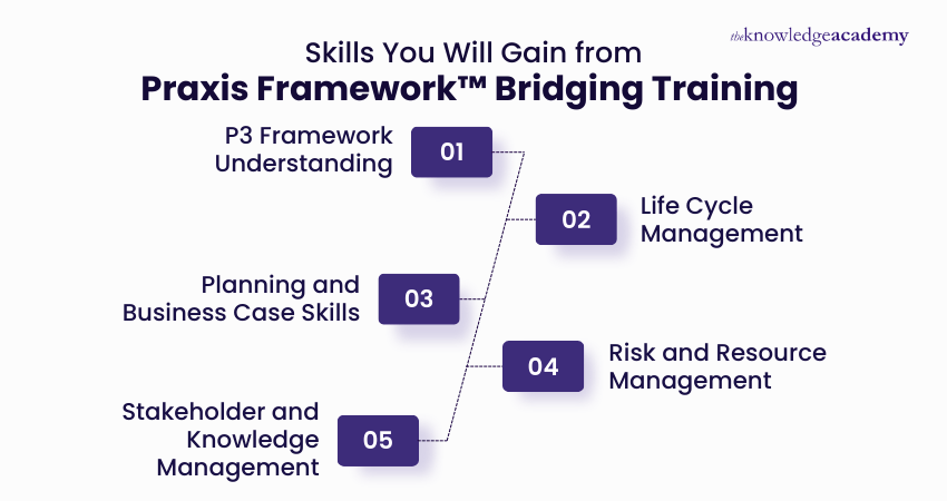 Skills You Will Gain from Praxis Framework Bridging Training