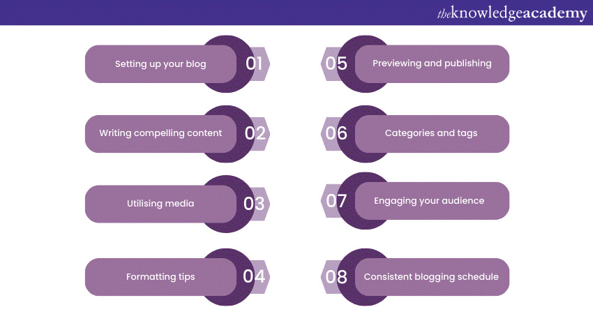Steps to creating your first WordPress Website