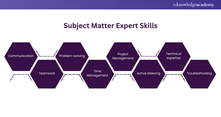 Subject Matter Expert Skills