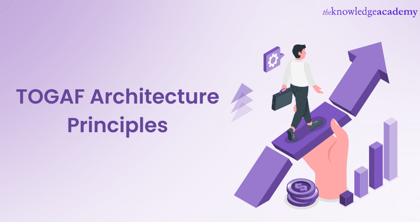TOGAF Architecture Principles