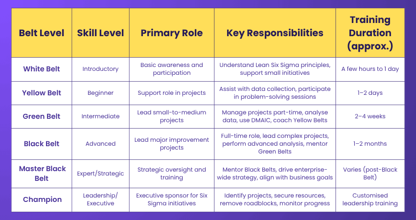 The Comparison Between the Various Lean Six Sigma Belts