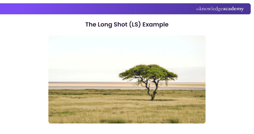 The Long Shot