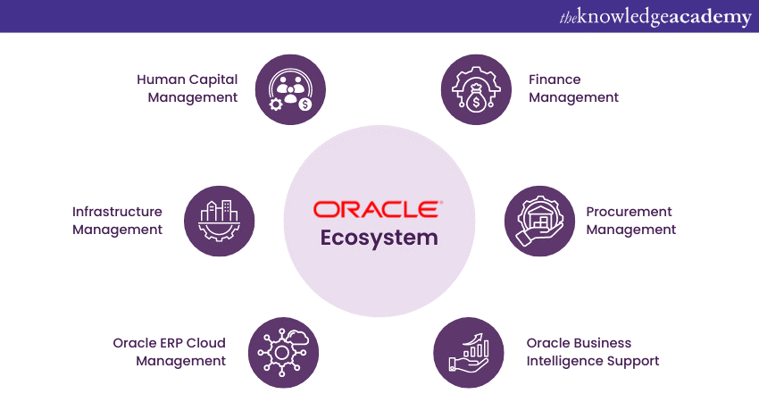 The Oracle Ecosystem