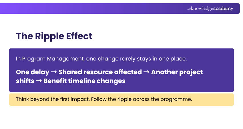 The Ripple Effect Ripple Effect of Decisions Across a Programme