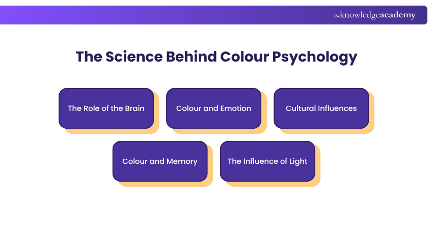 The Science Behind Colour Psychology
