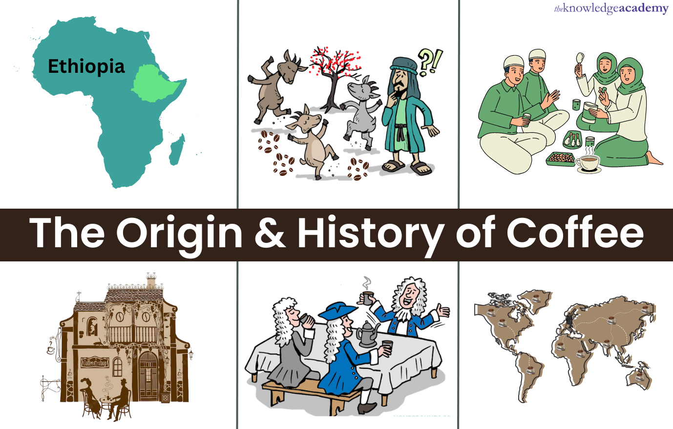 Coffee: origin and history