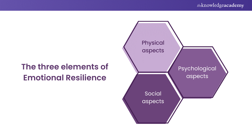 The three elements of Emotional Resilience