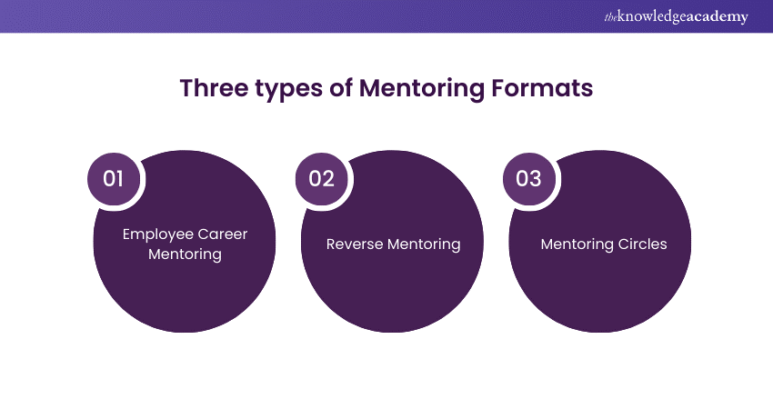Three types of Mentoring Formats 