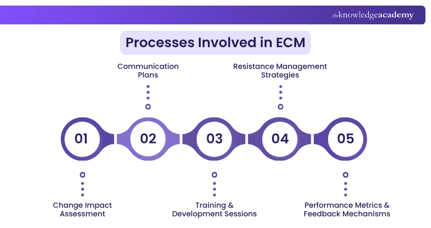Processes Involved in ECM