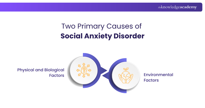 Two Primary Causes of  Social Anxiety Disorder