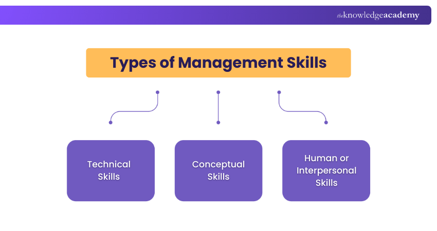 Types of Management Skills