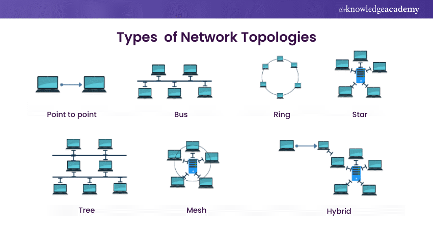 Network Topologies 