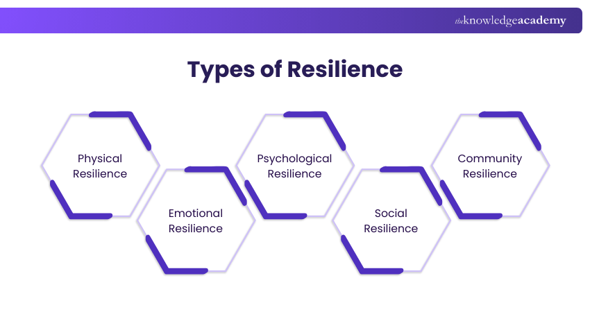 Types of Resilience