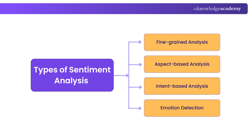 Types of Sentiment Analysis 