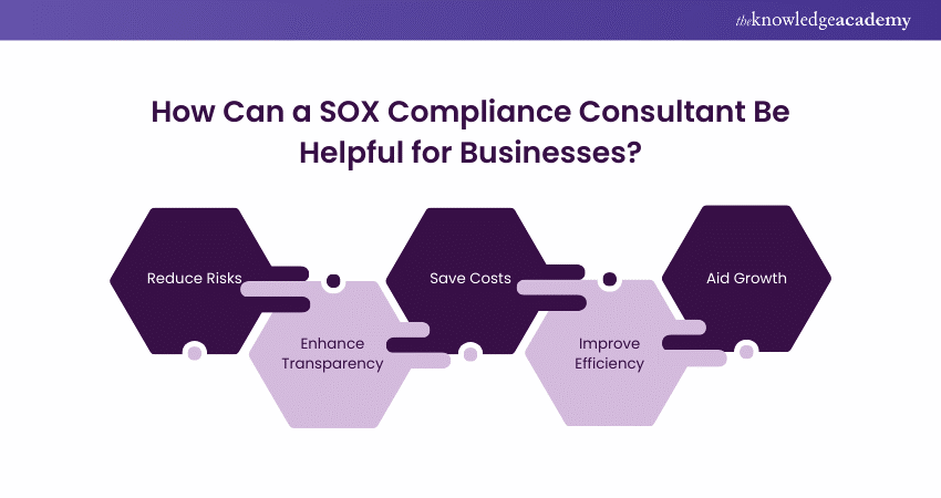 Understanding SOX Consultant Role in Businesses Understanding SOX Consultant Role in Businesses