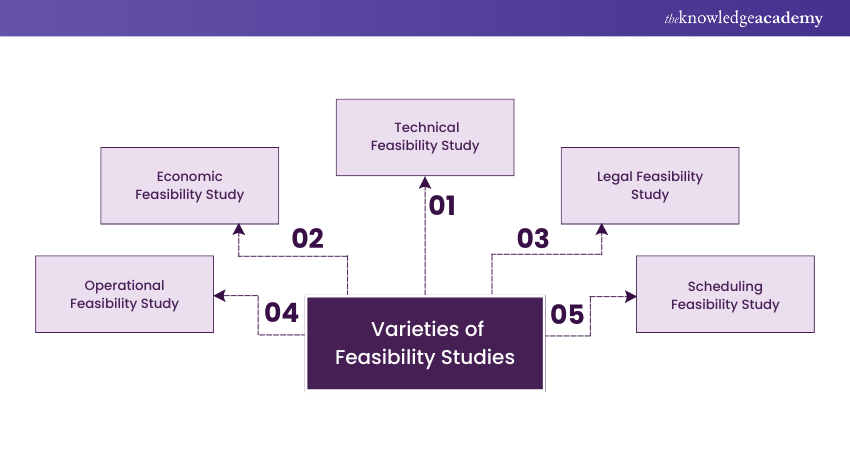 Varieties of Feasibility Studies