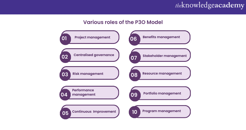 Various roles of the P3O Model