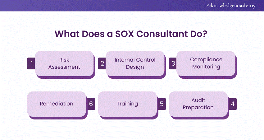 What Does a SOX Consultant Do What Does a SOX Consultant Do