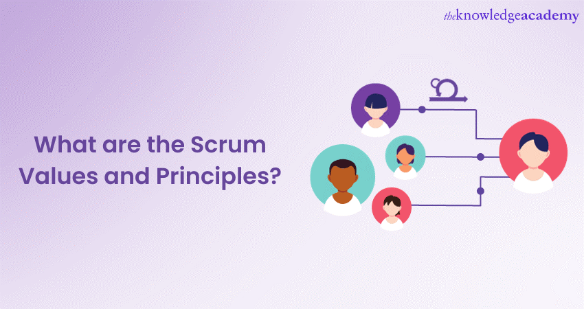 What are Scrum Values and  Principles? 