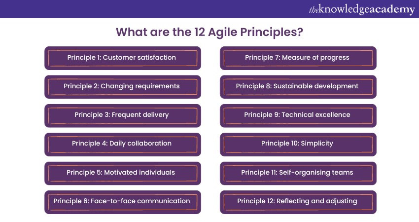 What are the 12 Agile Principles