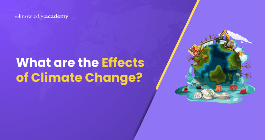 What are the Effects of Climate Change