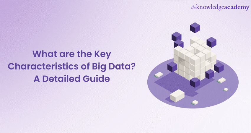 What are the Key Characteristics of Big Data? A Detailed Guide 
