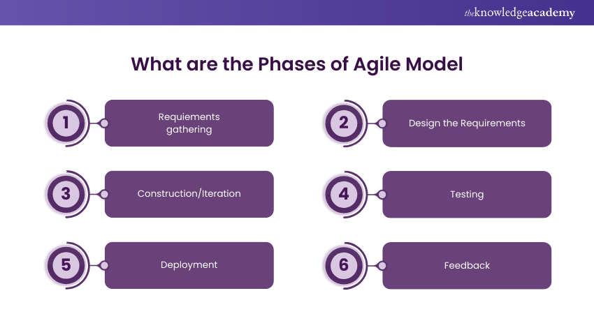 What are the Phases of Agile Model