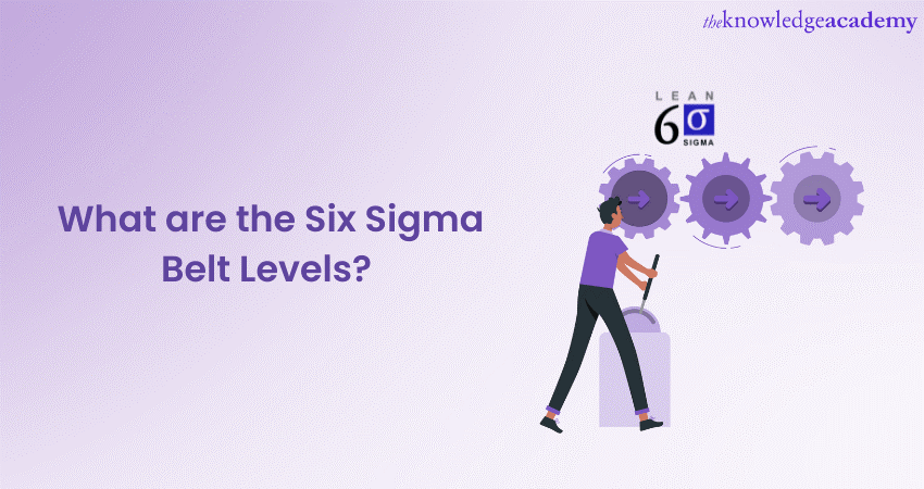 What are the Six Sigma Belt Levels