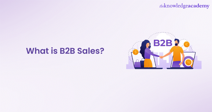 What Is B2B Sales?: Introduction, process, Strategy, & Examples