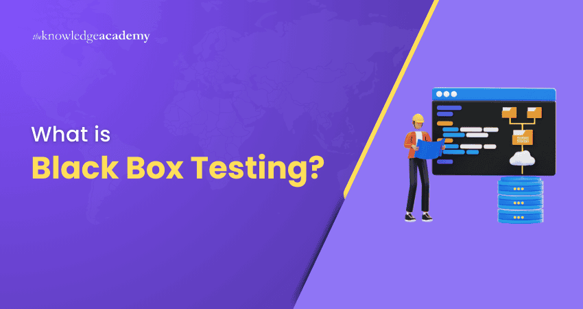 What is Black Box Testing What is Black Box Testing