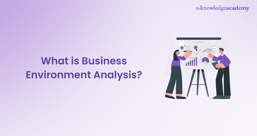 What is Business Environmental Analysis