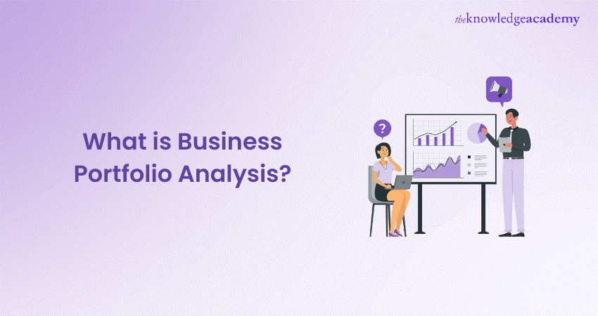 What is Business Portfolio Analysis What is Business Portfolio Analysis
