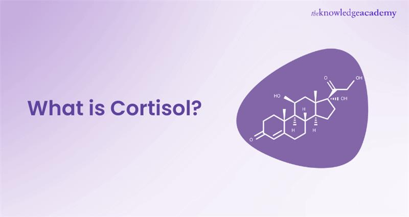 What is Cortisol