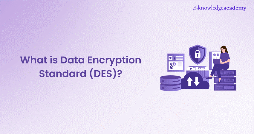 What is Data Encryption Standard(DES)? Explained in Detail
