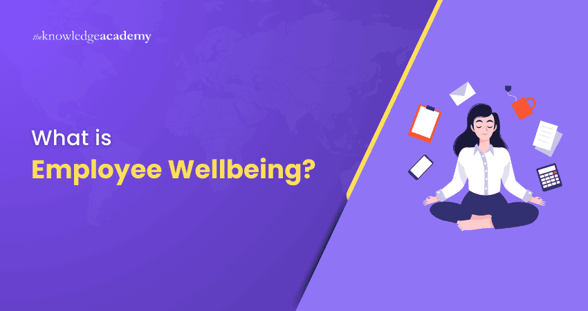 What is Employee Wellbeing