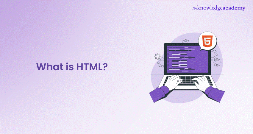 What is HTML? Common Tags, Elements, and How Does It Work?