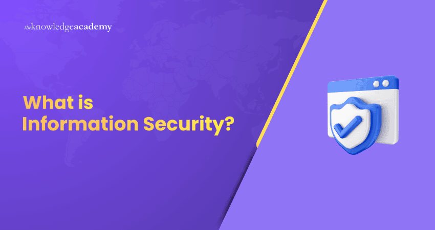 What is Information Security