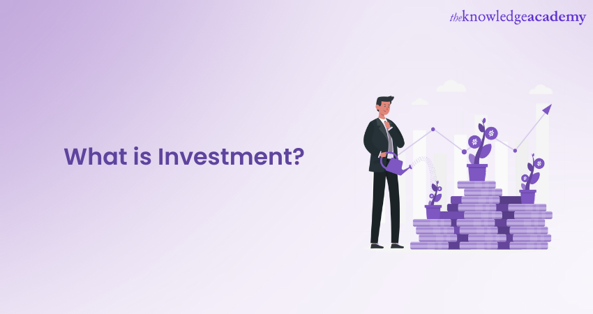 What is Investment