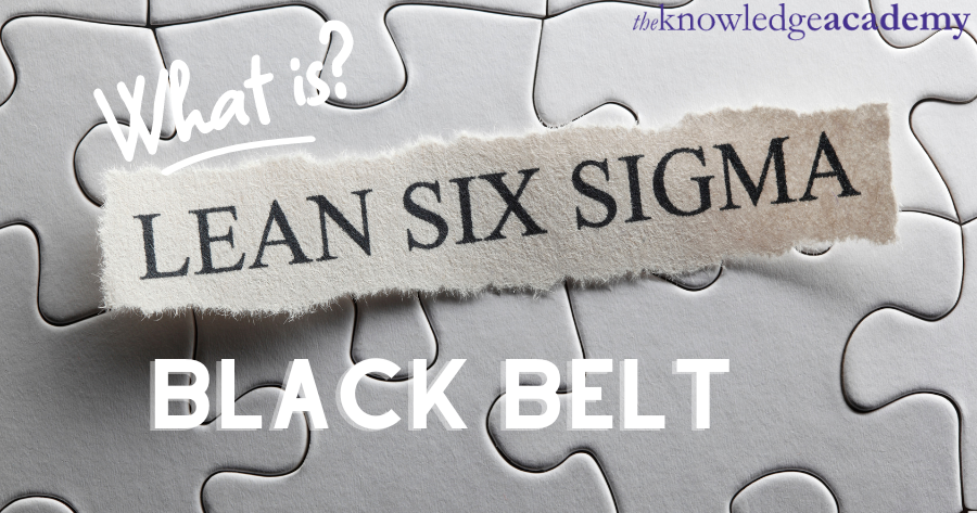 What is Lean six Sigma Black Belt