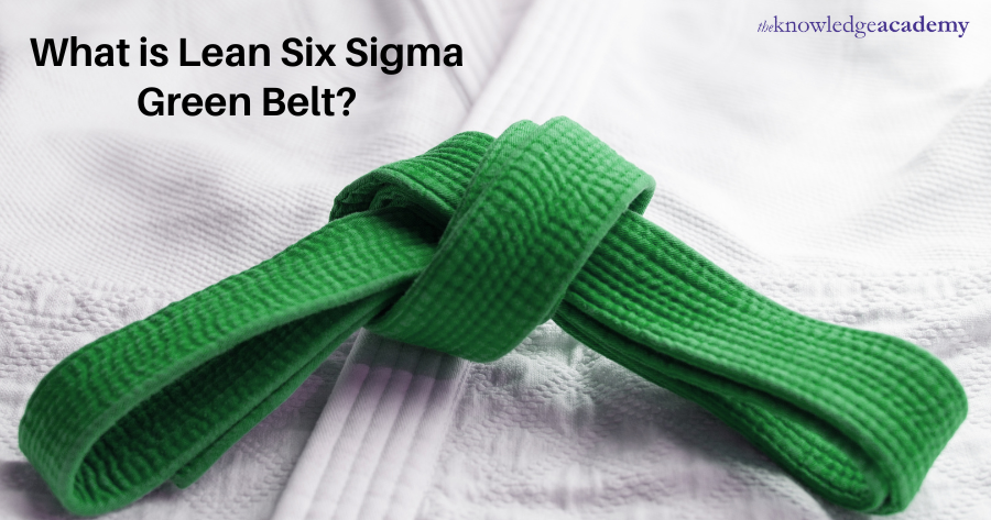 What is Lean Six Sigma Green Belt