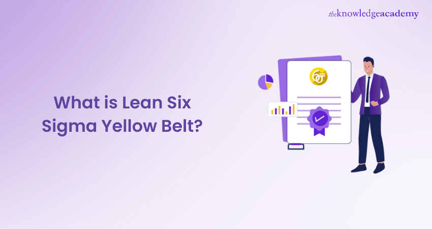 What is Lean Six Sigma Yellow Belt?