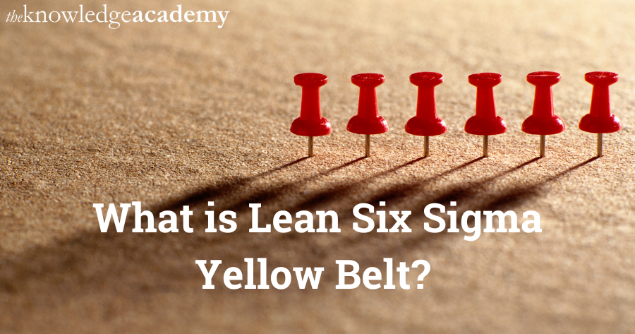 What is lean six sigma yellow belt