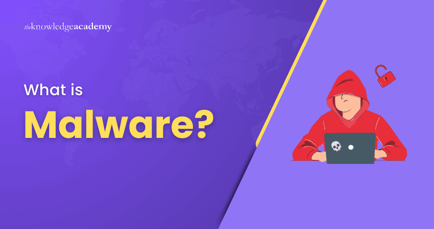 What is Malware