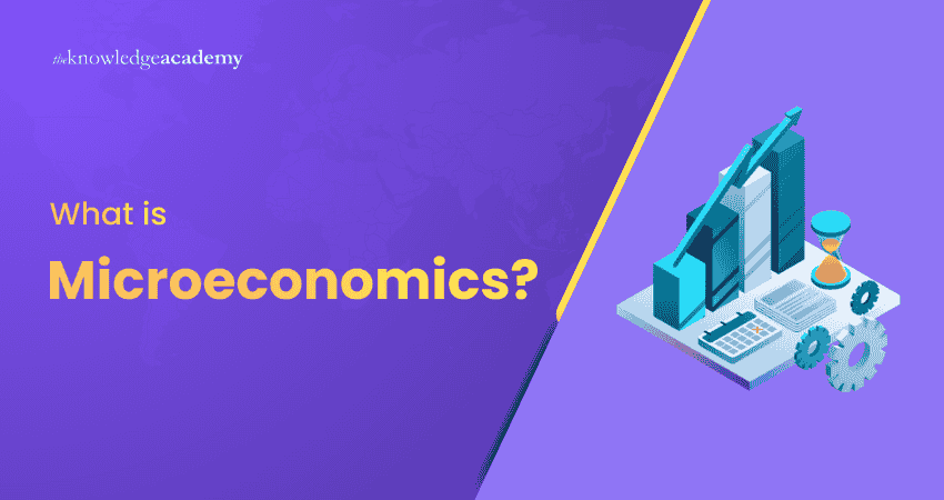 What is Microeconomics?