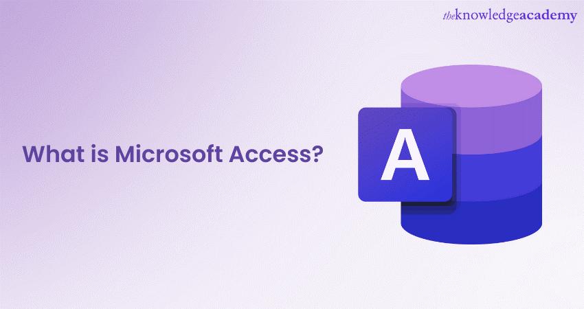 What is Microsoft Access An Ultimate Guide 