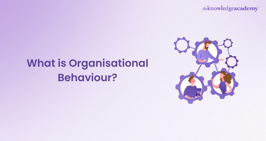 What is Organisational Behaviour