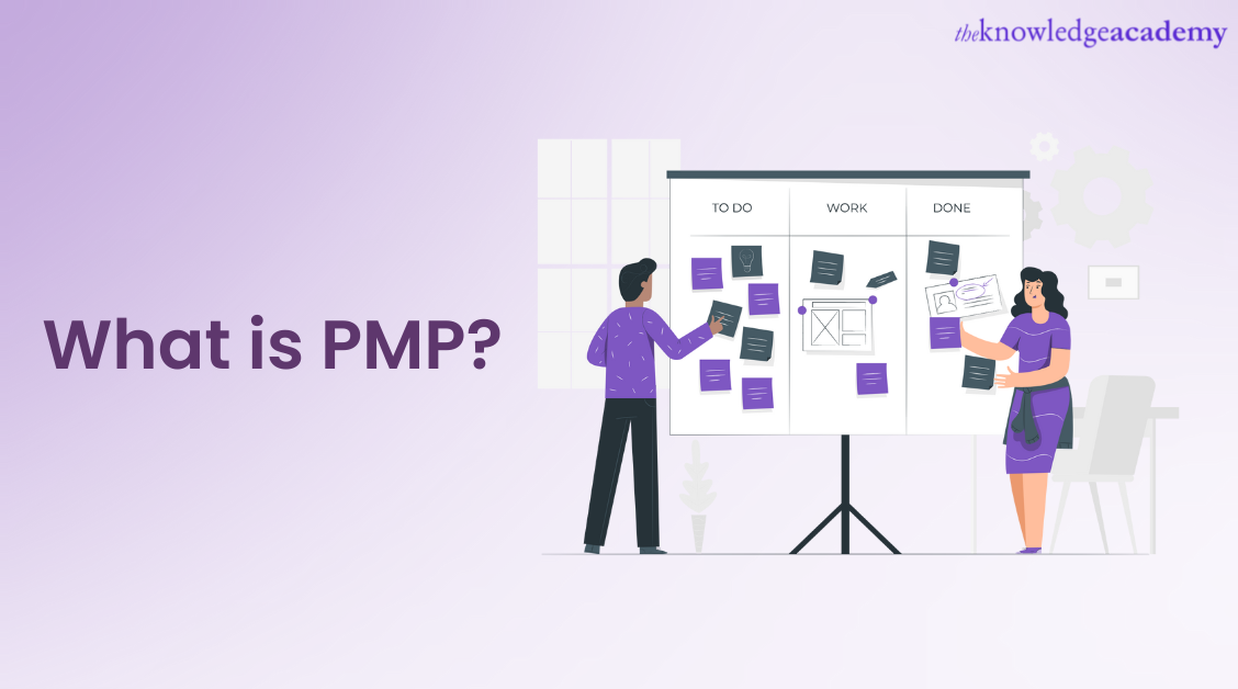 What is PMP?