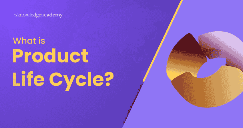 What is Product Life Cycle
