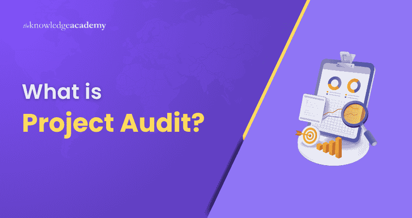 What is Project Audit Project Audit