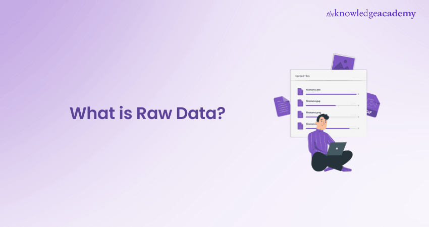 What Is Raw Data and How is it Processed?